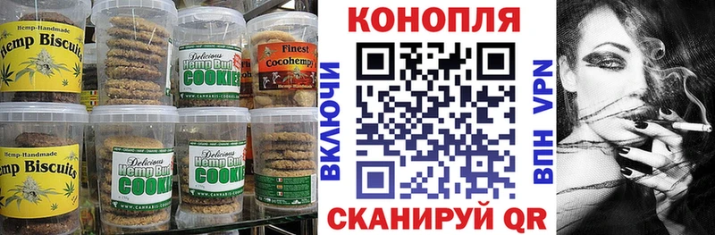 Canna-Cookies конопля  Купить  Анжеро-Судженск 