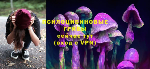 мяу мяу мука Беломорск