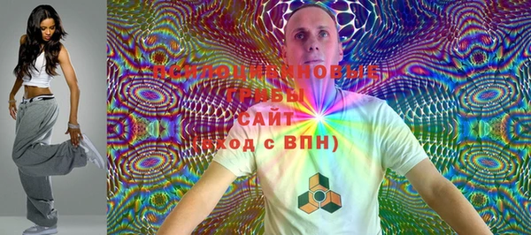 apvp Ладушкин