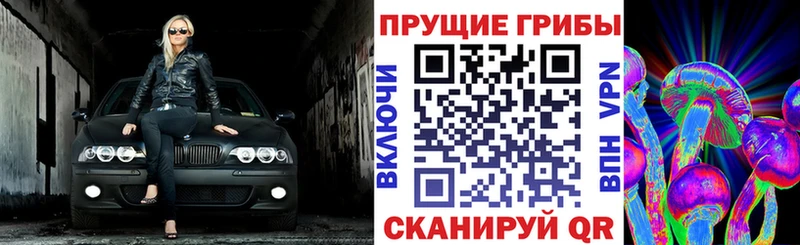 Псилоцибиновые грибы Cubensis  Купить где  Анжеро-Судженск 